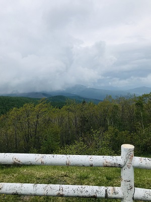 昨日は雨で肌寒く 雑草だと思っていたアカツメクサにはそんな効果が 信州リゾートサービス株式会社